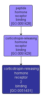 GO:0051431 - corticotropin-releasing hormone receptor 2 binding (interactive image map)