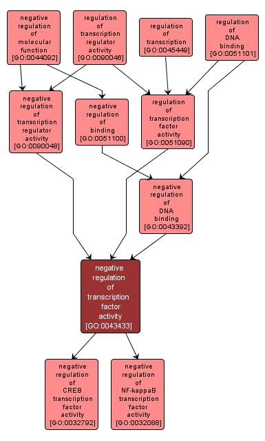 GO:0043433 - negative regulation of transcription factor activity (interactive image map)