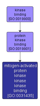 GO:0031435 - mitogen-activated protein kinase kinase kinase binding (interactive image map)