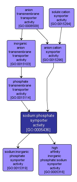 GO:0005436 - sodium:phosphate symporter activity (interactive image map)