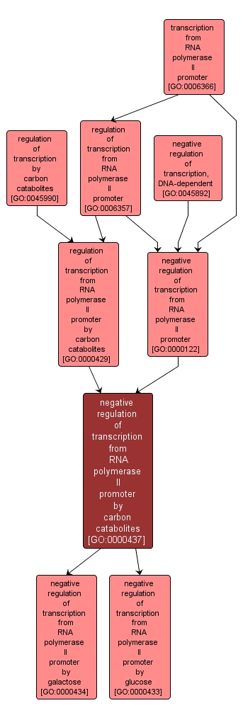 GO:0000437 - negative regulation of transcription from RNA polymerase II promoter by carbon catabolites (interactive image map)