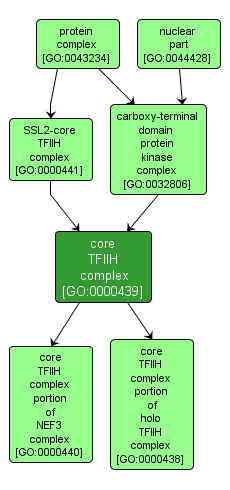 GO:0000439 - core TFIIH complex (interactive image map)
