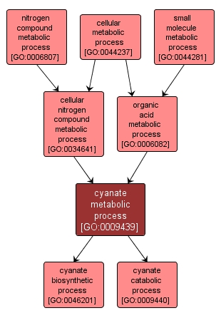GO:0009439 - cyanate metabolic process (interactive image map)