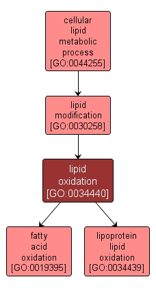 GO:0034440 - lipid oxidation (interactive image map)