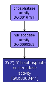 GO:0008441 - 3'(2'),5'-bisphosphate nucleotidase activity (interactive image map)