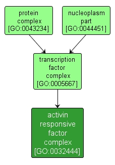 GO:0032444 - activin responsive factor complex (interactive image map)