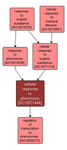 GO:0071444 - cellular response to pheromone (interactive image map)
