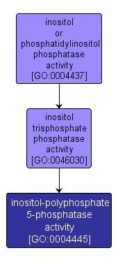GO:0004445 - inositol-polyphosphate 5-phosphatase activity (interactive image map)