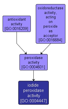 GO:0004447 - iodide peroxidase activity (interactive image map)