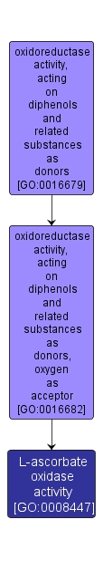 GO:0008447 - L-ascorbate oxidase activity (interactive image map)