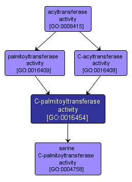 GO:0016454 - C-palmitoyltransferase activity (interactive image map)