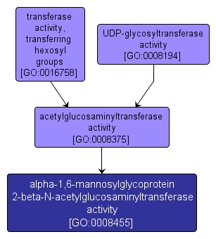 GO:0008455 - alpha-1,6-mannosylglycoprotein 2-beta-N-acetylglucosaminyltransferase activity (interactive image map)