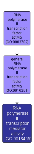 GO:0016455 - RNA polymerase II transcription mediator activity (interactive image map)