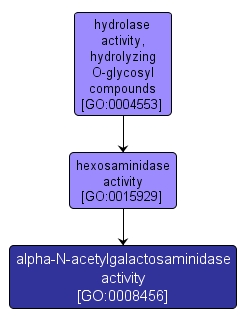 GO:0008456 - alpha-N-acetylgalactosaminidase activity (interactive image map)
