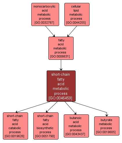 GO:0046459 - short-chain fatty acid metabolic process (interactive image map)