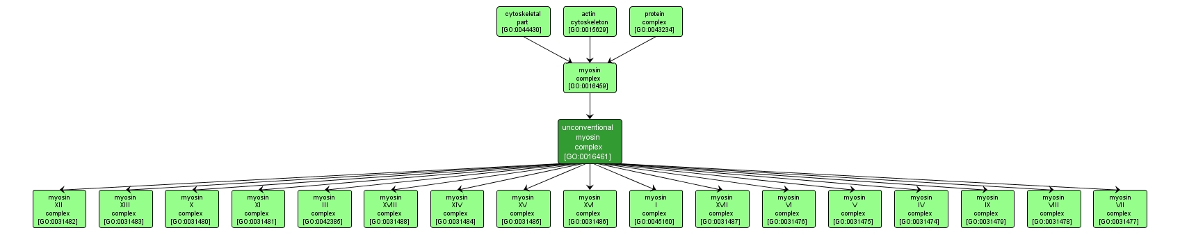 GO:0016461 - unconventional myosin complex (interactive image map)