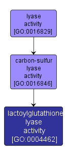 GO:0004462 - lactoylglutathione lyase activity (interactive image map)