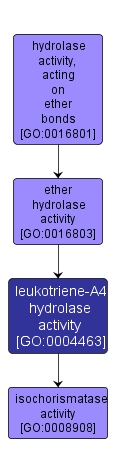 GO:0004463 - leukotriene-A4 hydrolase activity (interactive image map)