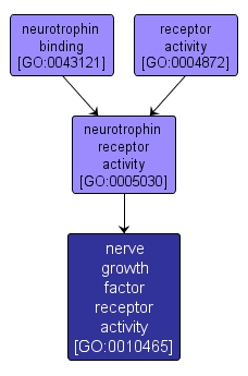 GO:0010465 - nerve growth factor receptor activity (interactive image map)