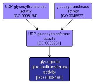 GO:0008466 - glycogenin glucosyltransferase activity (interactive image map)