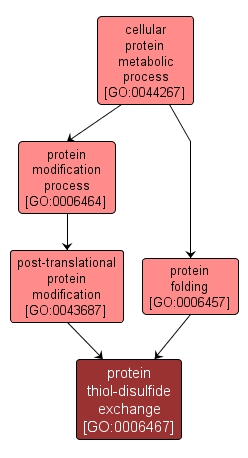 GO:0006467 - protein thiol-disulfide exchange (interactive image map)
