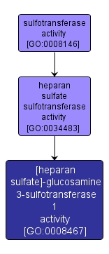 GO:0008467 - [heparan sulfate]-glucosamine 3-sulfotransferase 1 activity (interactive image map)