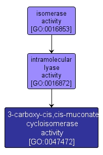 GO:0047472 - 3-carboxy-cis,cis-muconate cycloisomerase activity (interactive image map)