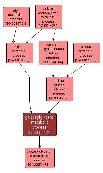 GO:0051472 - glucosylglycerol metabolic process (interactive image map)
