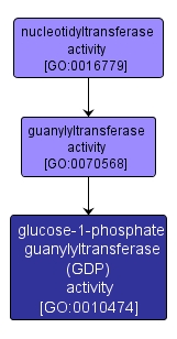 GO:0010474 - glucose-1-phosphate guanylyltransferase (GDP) activity (interactive image map)