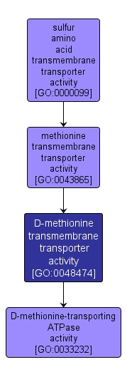 GO:0048474 - D-methionine transmembrane transporter activity (interactive image map)