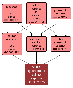 GO:0071475 - cellular hyperosmotic salinity response (interactive image map)