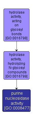 GO:0008477 - purine nucleosidase activity (interactive image map)