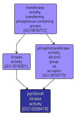 GO:0008478 - pyridoxal kinase activity (interactive image map)