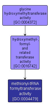 GO:0004479 - methionyl-tRNA formyltransferase activity (interactive image map)