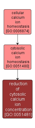 GO:0051481 - reduction of cytosolic calcium ion concentration (interactive image map)