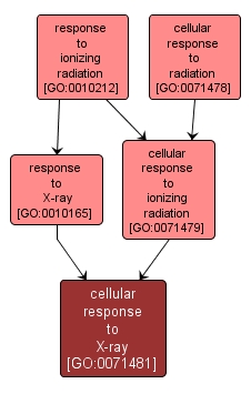 GO:0071481 - cellular response to X-ray (interactive image map)