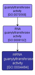 GO:0004484 - mRNA guanylyltransferase activity (interactive image map)