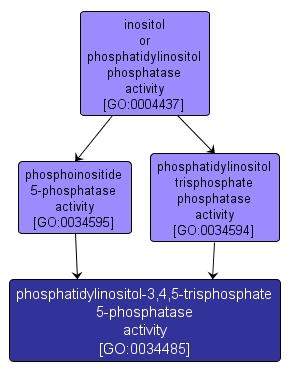 GO:0034485 - phosphatidylinositol-3,4,5-trisphosphate 5-phosphatase activity (interactive image map)