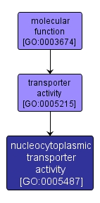 GO:0005487 - nucleocytoplasmic transporter activity (interactive image map)