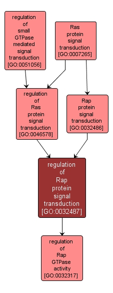 GO:0032487 - regulation of Rap protein signal transduction (interactive image map)
