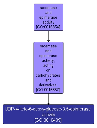 GO:0010489 - UDP-4-keto-6-deoxy-glucose-3,5-epimerase activity (interactive image map)