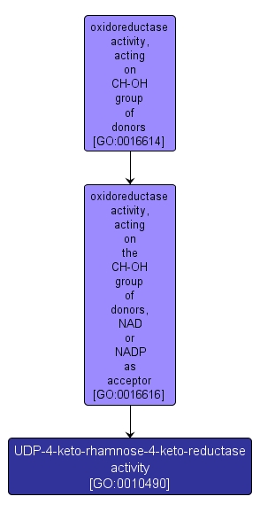 GO:0010490 - UDP-4-keto-rhamnose-4-keto-reductase activity (interactive image map)