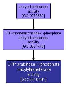 GO:0010491 - UTP:arabinose-1-phosphate uridylyltransferase activity (interactive image map)