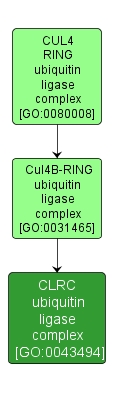 GO:0043494 - CLRC ubiquitin ligase complex (interactive image map)