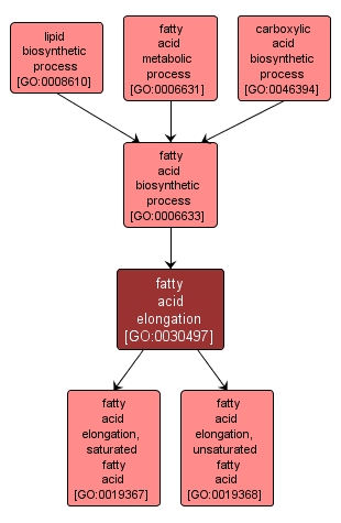 GO:0030497 - fatty acid elongation (interactive image map)