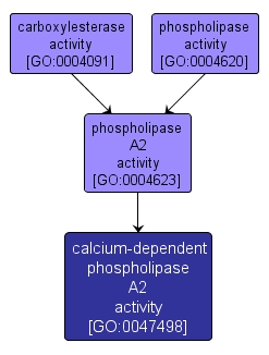 GO:0047498 - calcium-dependent phospholipase A2 activity (interactive image map)