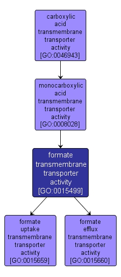GO:0015499 - formate transmembrane transporter activity (interactive image map)