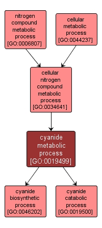 GO:0019499 - cyanide metabolic process (interactive image map)