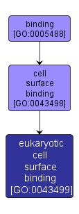 GO:0043499 - eukaryotic cell surface binding (interactive image map)