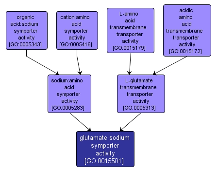 GO:0015501 - glutamate:sodium symporter activity (interactive image map)